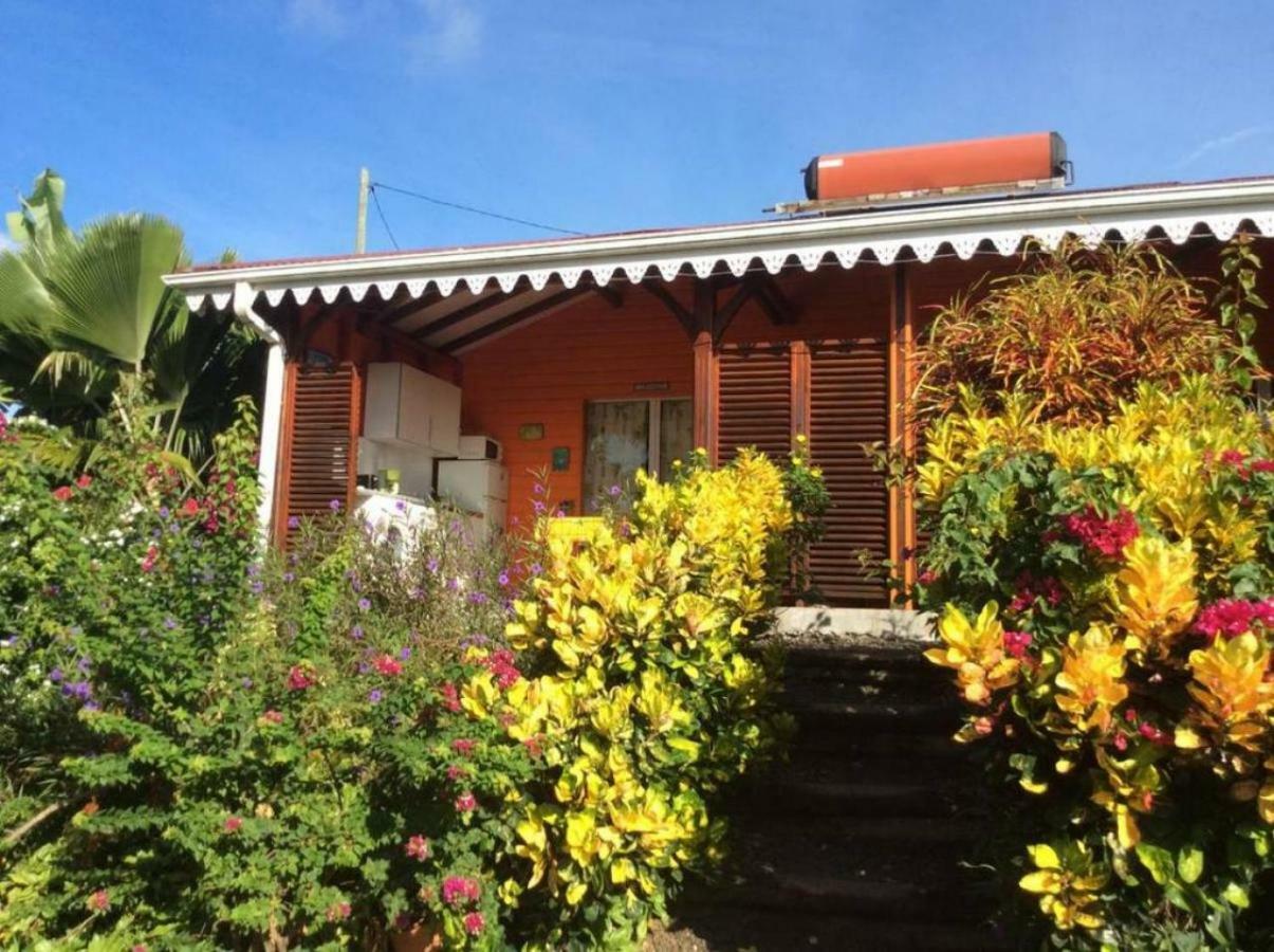 Villa Manguier Riviere-Salee Eksteriør bilde